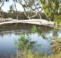 Murray Valley National Park - Inverell Accommodation