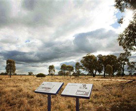 Backroads Trail - Inverell Accommodation 2