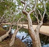 Oyala Thumotang National Park CYPAL - Inverell Accommodation