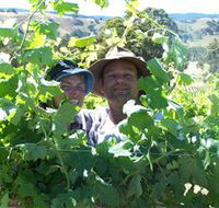 Wimmera Hills Winery - Inverell Accommodation