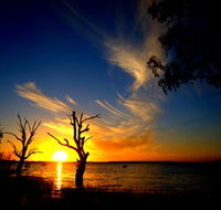 Lake Cowal - Inverell Accommodation