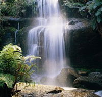 Mount Buangor State Park - Inverell Accommodation