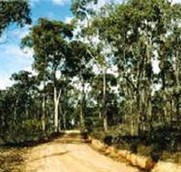 Paddys Ranges State Park - Inverell Accommodation