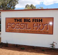 Big Fish Fossil Hut at Peak Hill - Inverell Accommodation