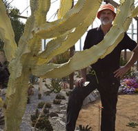 Cactus Country - Inverell Accommodation