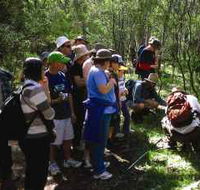 Warrumbungle National Park Discovery Program - Inverell Accommodation