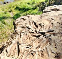 Terramungamine Rock Grooves - Inverell Accommodation