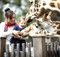 Taronga Western Plains Zoo Dubbo - Inverell Accommodation