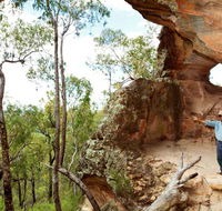 Pilliga National Park - Inverell Accommodation