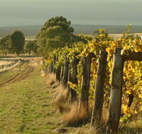Captains Creek Organic Wines - Inverell Accommodation