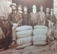 Greens Gunyah Museum - Inverell Accommodation