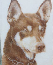 Doris Golder Wool Art Gallery - Inverell Accommodation 1