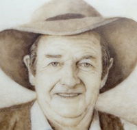 Doris Golder Wool Art Gallery - Inverell Accommodation