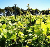 Basalt Wines - Inverell Accommodation