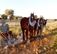 Pastoral Shadows of Brookong - Inverell Accommodation