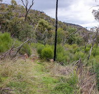 Lynchs loop trail - Inverell Accommodation