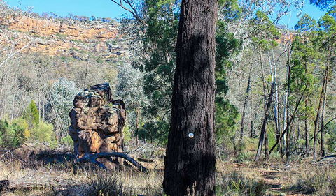 Eualdrie Walking Track - Inverell Accommodation 0