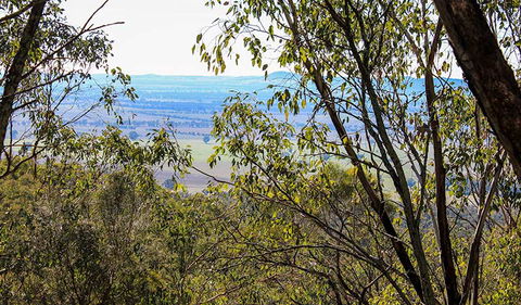Eualdrie Walking Track - Inverell Accommodation 2
