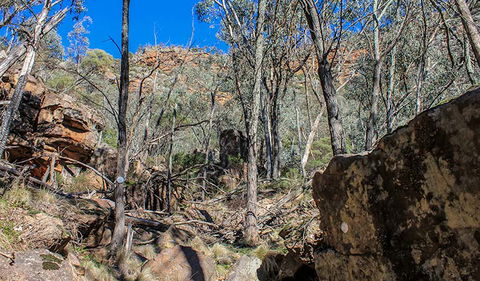 Eualdrie Walking Track - Inverell Accommodation 3