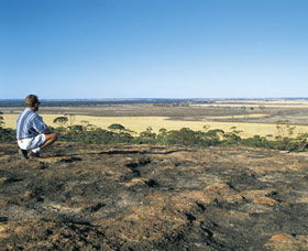 Welbungin ACT Inverell Accommodation