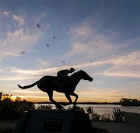 Black Caviar Statue - Inverell Accommodation