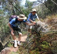 Mount Arthur Reserve - Inverell Accommodation