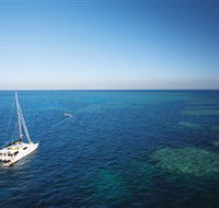 Bait Reef and Garys Lagoon Dive Site - Inverell Accommodation