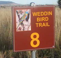 Weddin Bird Trails - Inverell Accommodation