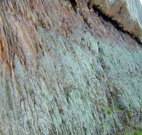 The Rock Nature Reserve - Kengal Aboriginal Place - Inverell Accommodation