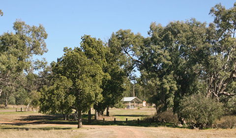 Terry Hie Hie Aboriginal Area - Inverell Accommodation 0