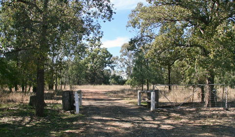 Terry Hie Hie Aboriginal Area - Inverell Accommodation 2