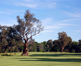 Corowa Golf Club - Inverell Accommodation 5