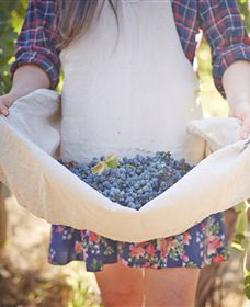 Lake Moodemere Estate - Inverell Accommodation 1