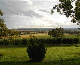 Wollundry Grove Olives - Inverell Accommodation 1