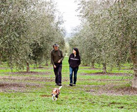 Wollundry Grove Olives - Inverell Accommodation 3