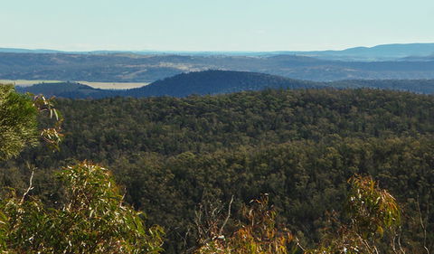 Conimbla National Park - Inverell Accommodation 1