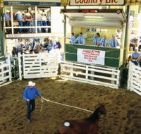 Gracemere Exhibition Complex - Inverell Accommodation