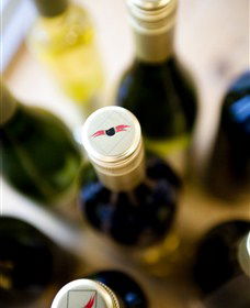 Charles Sturt University Winery Wagga Wagga - Inverell Accommodation 2