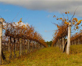 Charles Sturt University Winery Wagga Wagga - Inverell Accommodation 3