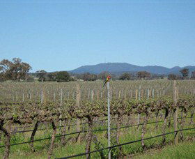 Monument Vineyard - Inverell Accommodation 1