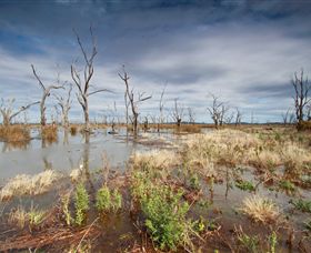 Winton Wetlands Reserve - Inverell Accommodation 4