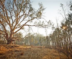 Winton Wetlands Reserve - Inverell Accommodation 2