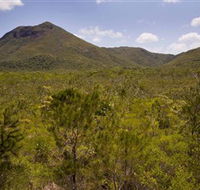 Kutini-Payamu Iron Range National Park CYPAL - Inverell Accommodation