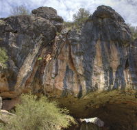 Borenore Karst Conservation Reserve - Inverell Accommodation