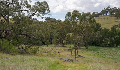Verandah Cave - Inverell Accommodation 1