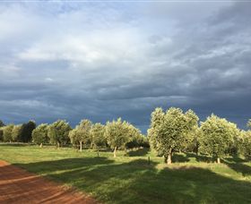 Camilo - Inverell Accommodation 0