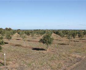 Camilo - Inverell Accommodation 2