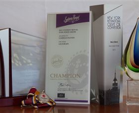 Camilo - Inverell Accommodation 7