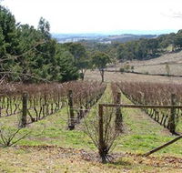 Habitat Vineyard - Inverell Accommodation