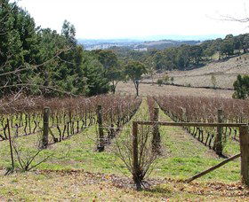 Habitat Vineyard - Inverell Accommodation 0